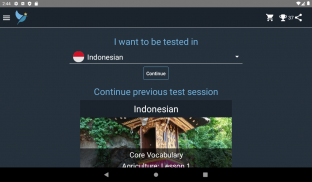 Indonesian Language Tests screenshot 20