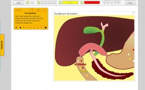 Digestion screenshot 9