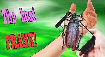 Beetle On Hand Mega Joke screenshot 0