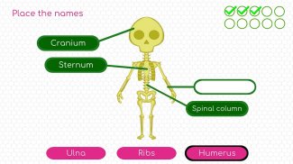 BodyQuest: Anatomy for kids screenshot 0