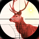 Deer Expert Hunter 2015