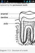 Animal Anatomy and Physiology screenshot 4