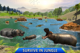 Wild Hippo Beach Attack Jungle Simulator screenshot 14