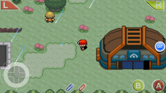 Pokemon Dark Workship Download, Informations & Media - Pokemon GBA