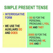 Simple Present Tenses screenshot 1