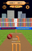 Bowled 3D - Cricket Game screenshot 18