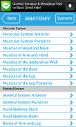 Anatomy Flashcards screenshot 3