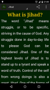 Introduction to Islam screenshot 5