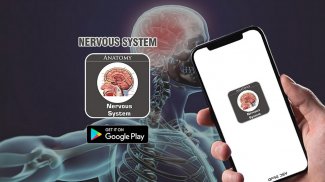 Nervous System screenshot 4