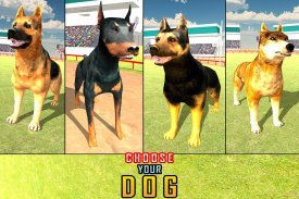 الكلب سباق حيلة والسريع 3D سيم screenshot 4