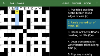 Cryptic Crossword Lite screenshot 10