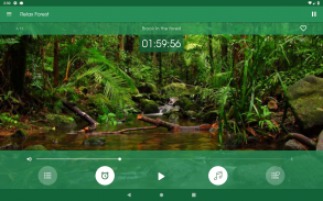 Relájese Bosque ~ Sonidos de la naturaleza screenshot 13