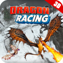 Flying Dragon Race 2020 Icon