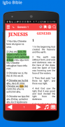 Igbo Bible: & Audio screenshot 8