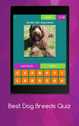 Best Dog Breeds Quiz screenshot 4