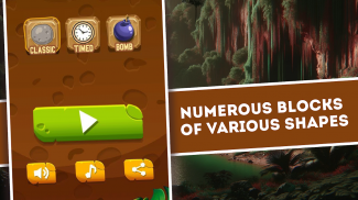 Block Puzzle in the Stone Age screenshot 3