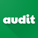 Audit Icon