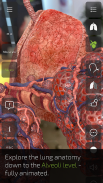 INSIGHT LUNG screenshot 4