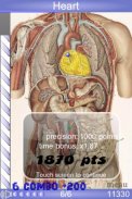 Speed Anatomy Quiz Free screenshot 0