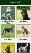Animal Information in Marathi screenshot 6
