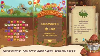 Flower Book Match3 Puzzle Game screenshot 0