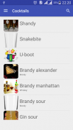 Cocktail Recipes screenshot 1