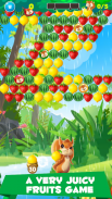 Bubble Fruit screenshot 2