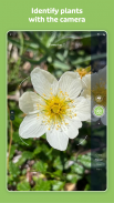 Flora Incognita - identificação de plantas screenshot 2