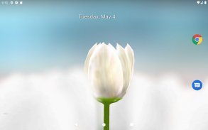 3D Tulip Live Wallpaper screenshot 1