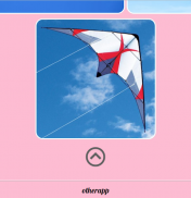 Kite Design screenshot 1