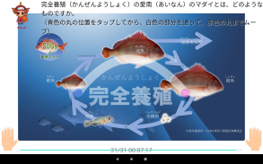 真鯛の三枚おろしに挑戦　＋　魚の王様真鯛図鑑 screenshot 10