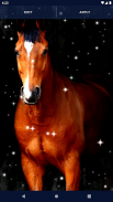 Majestic Horse Live Wallpaper screenshot 2