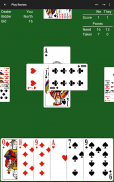 29 Card Game - Expert AI screenshot 12