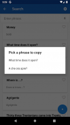 Learn Italian Phrasebook Pro screenshot 3