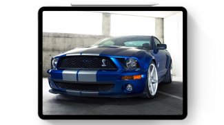 Wallpapers For Mustang Shelby Cars screenshot 0