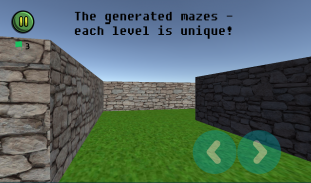 Epic Maze 3D screenshot 2