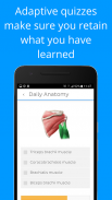 Daily Anatomy: Flashcard Quizzes to Learn Anatomy screenshot 2