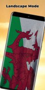 Welsh Flag Live Wallpaper screenshot 6