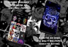 Skull Wallpapers and Backgrounds screenshot 2