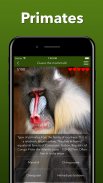 Animals Quiz - Learn All Mammals, Birds and more! screenshot 5