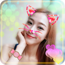 Cat Face Camera Editor