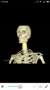 Anatomy Atlas-Junior screenshot 4