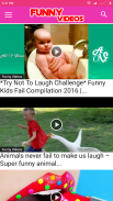 Free Funny Videos HD screenshot 3