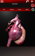 Circulatory System 3D Anatomy screenshot 10