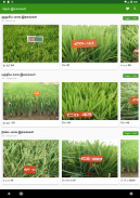 Paddy Varieties screenshot 2