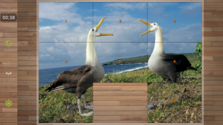 Bird Puzzle Games screenshot 5