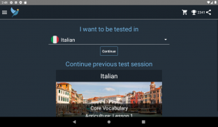 Italian Language Tests screenshot 12