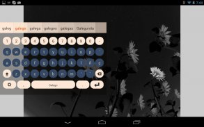 Galego Keyboard Plugin screenshot 1