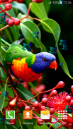 Parrot Live Wallpapers screenshot 3