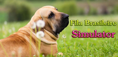 Fila Brasileiro Simulator